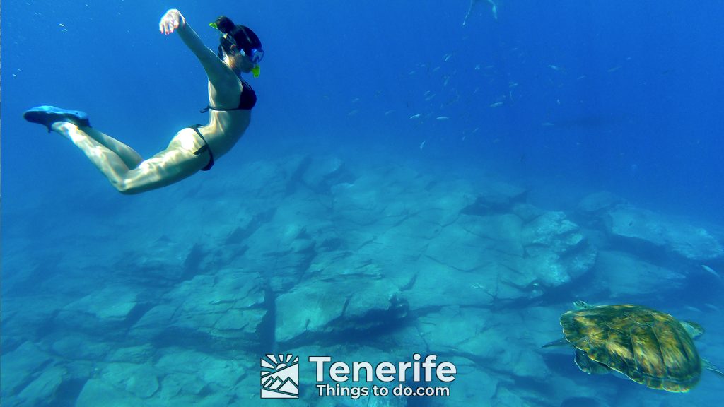 kayak in tenerife