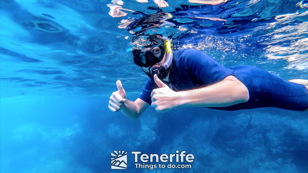 snorkeling in tenerife south