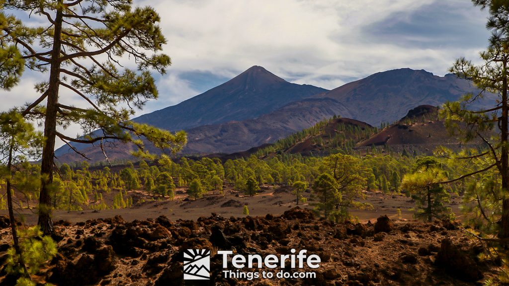 tenerife quad bike tour