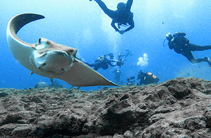 try dive in tenerife