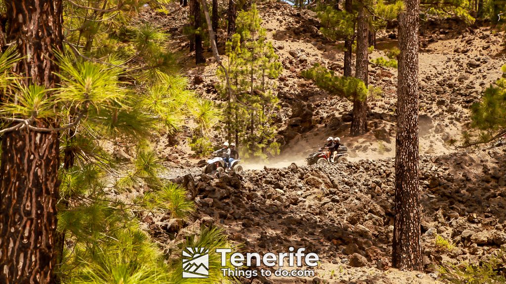 quad bike in tenerife