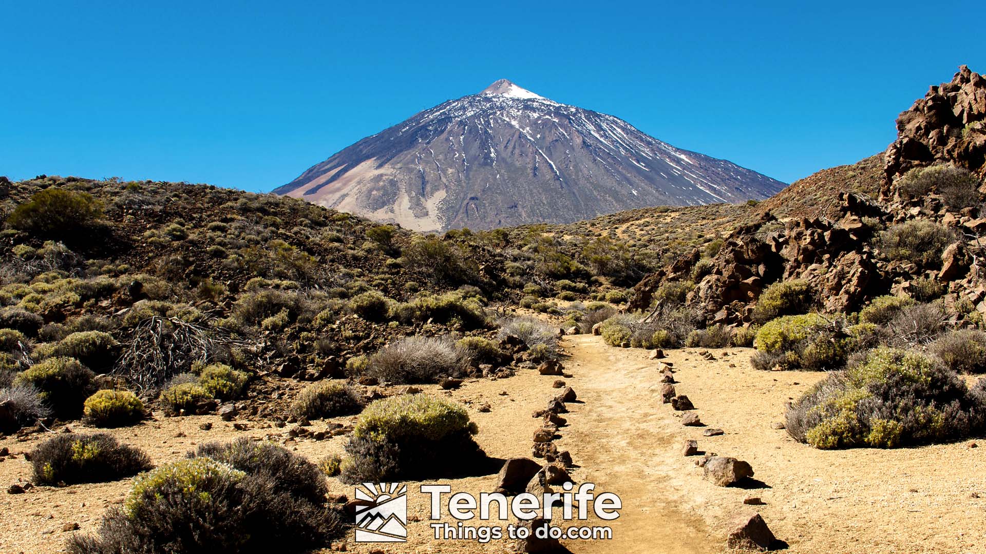 teide tour bus