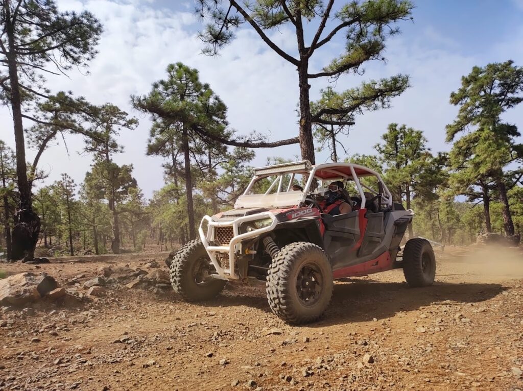 buggy tour tenerife